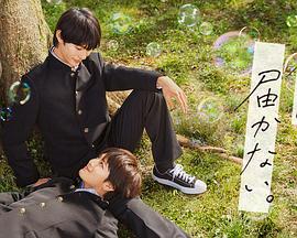 海宁院今日上映海报剧照